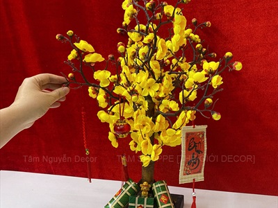 Cây Mai Đào thân gỗ để bàn [Tỉ mỉ - Nhẹ] C50cm CAYCANH-TET-01